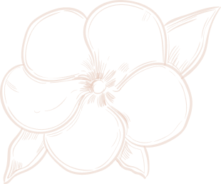 Bride & Groom Make Over by Manju Nair